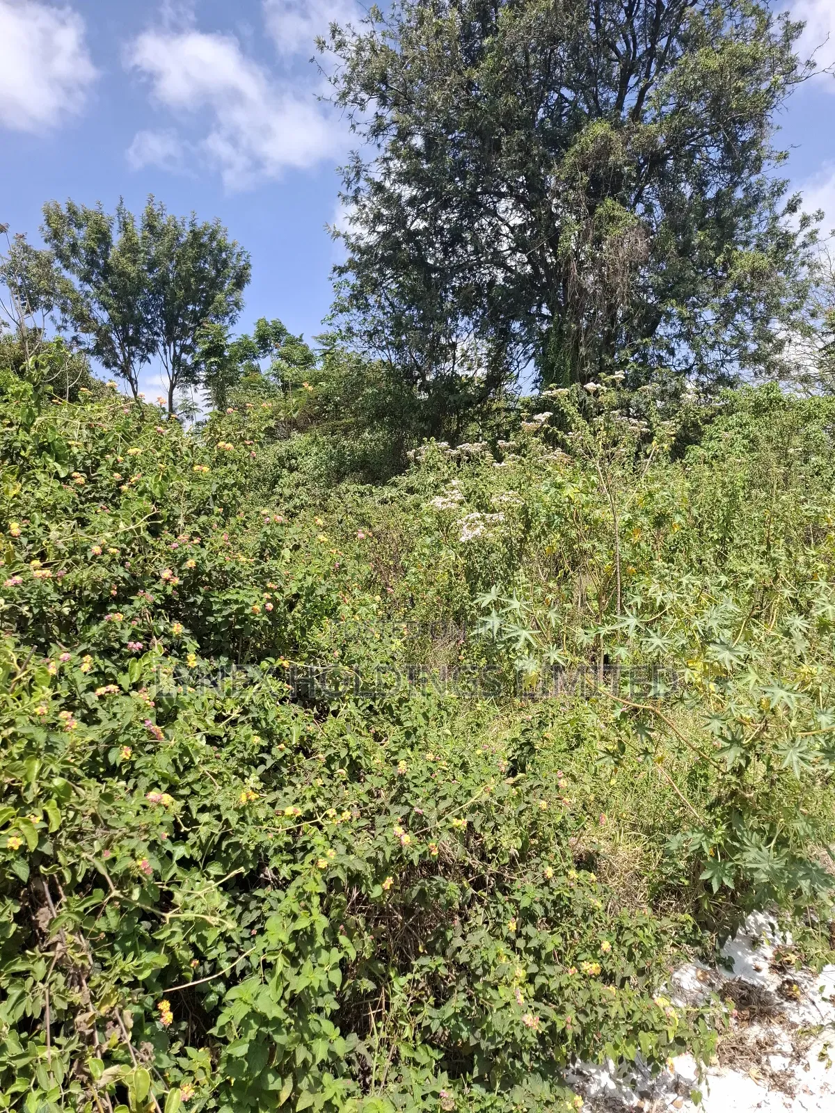 Prime 1/2 Acre Land for Sale in Karen in Karen