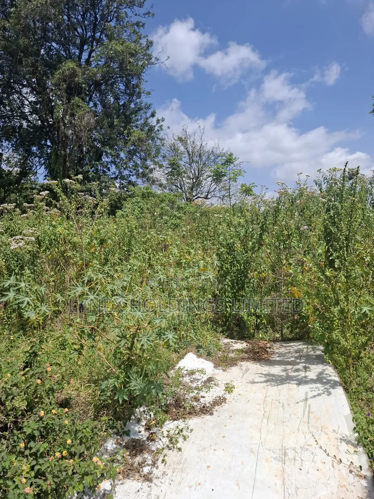 Prime 1/2 Acre Land for Sale in Karen in Karen