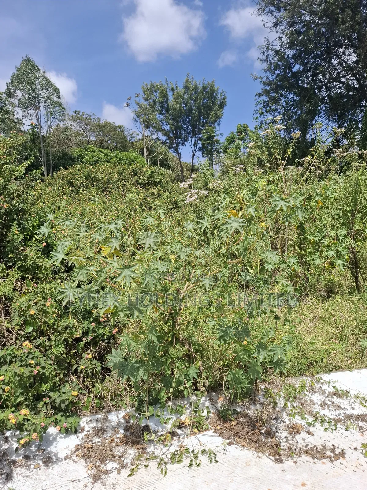 Prime 1/2 Acre Land for Sale in Karen in Karen