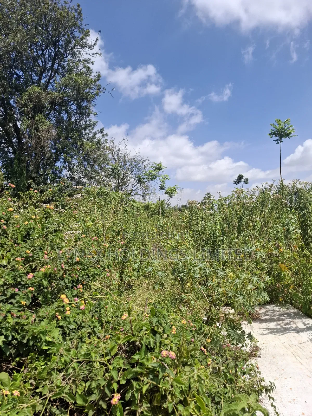 Prime 1/2 Acre Land for Sale in Karen in Karen