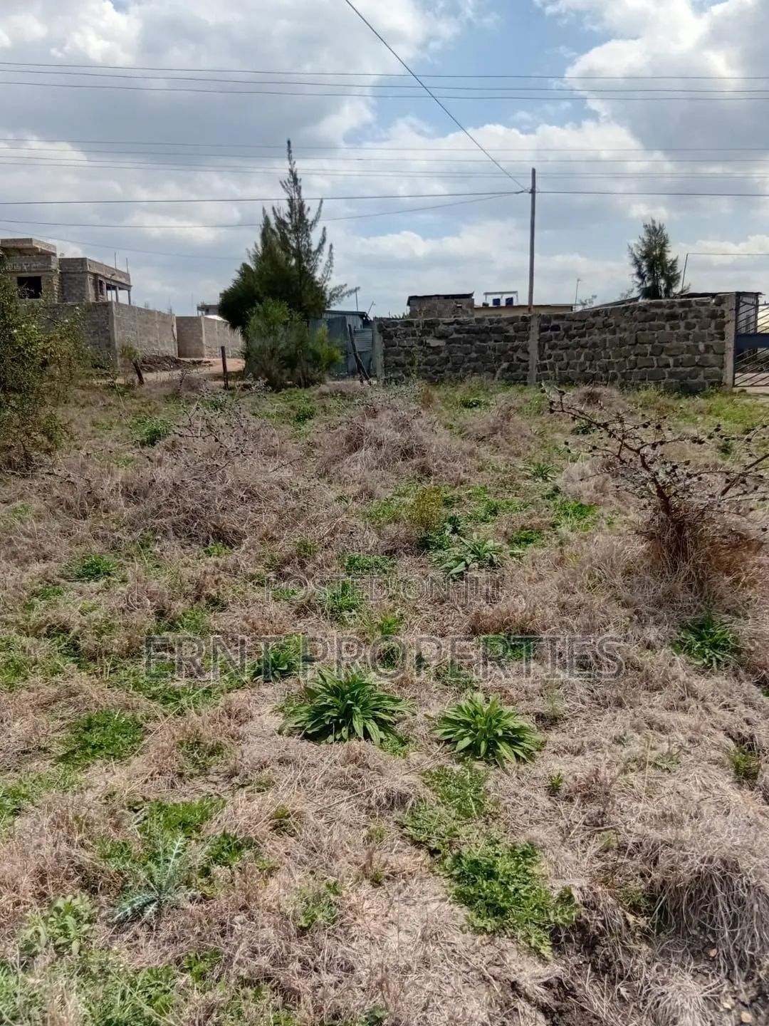 Prime 50x100 Plot in Kitengela Sholinke Valley in Kitengela
