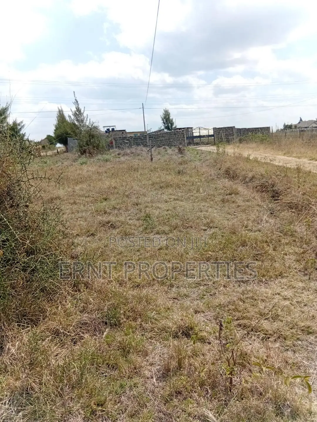 Prime 50x100 Plot in Kitengela Sholinke Valley in Kitengela