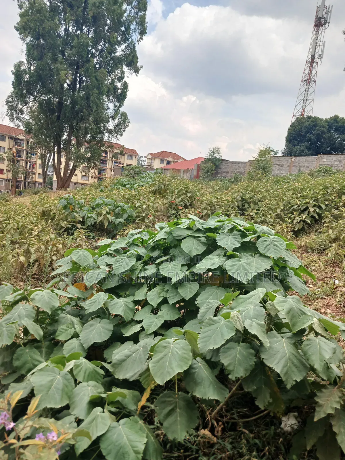 1/4 Prime Land for Lease in Kawangware in Riruta