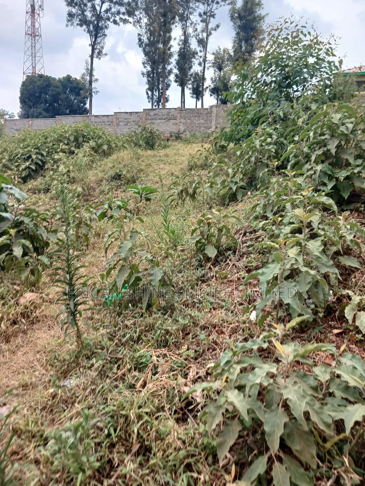 1/4 Prime Land for Lease in Kawangware in Riruta