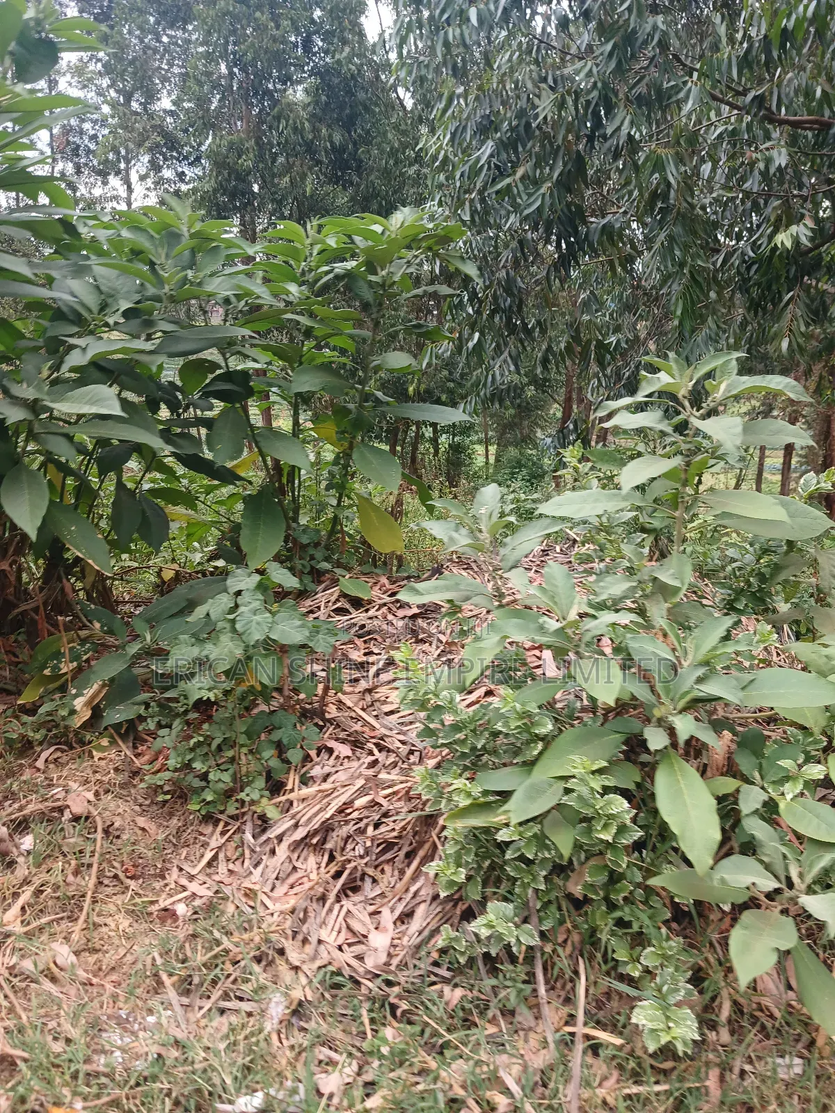 1/2 Prime Plot for Lease in Uthiru in Uthiru