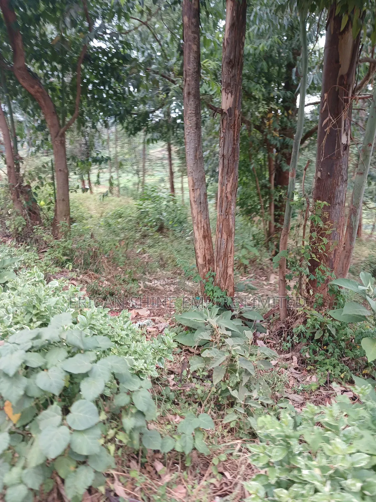 1/2 Prime Plot for Lease in Uthiru in Uthiru