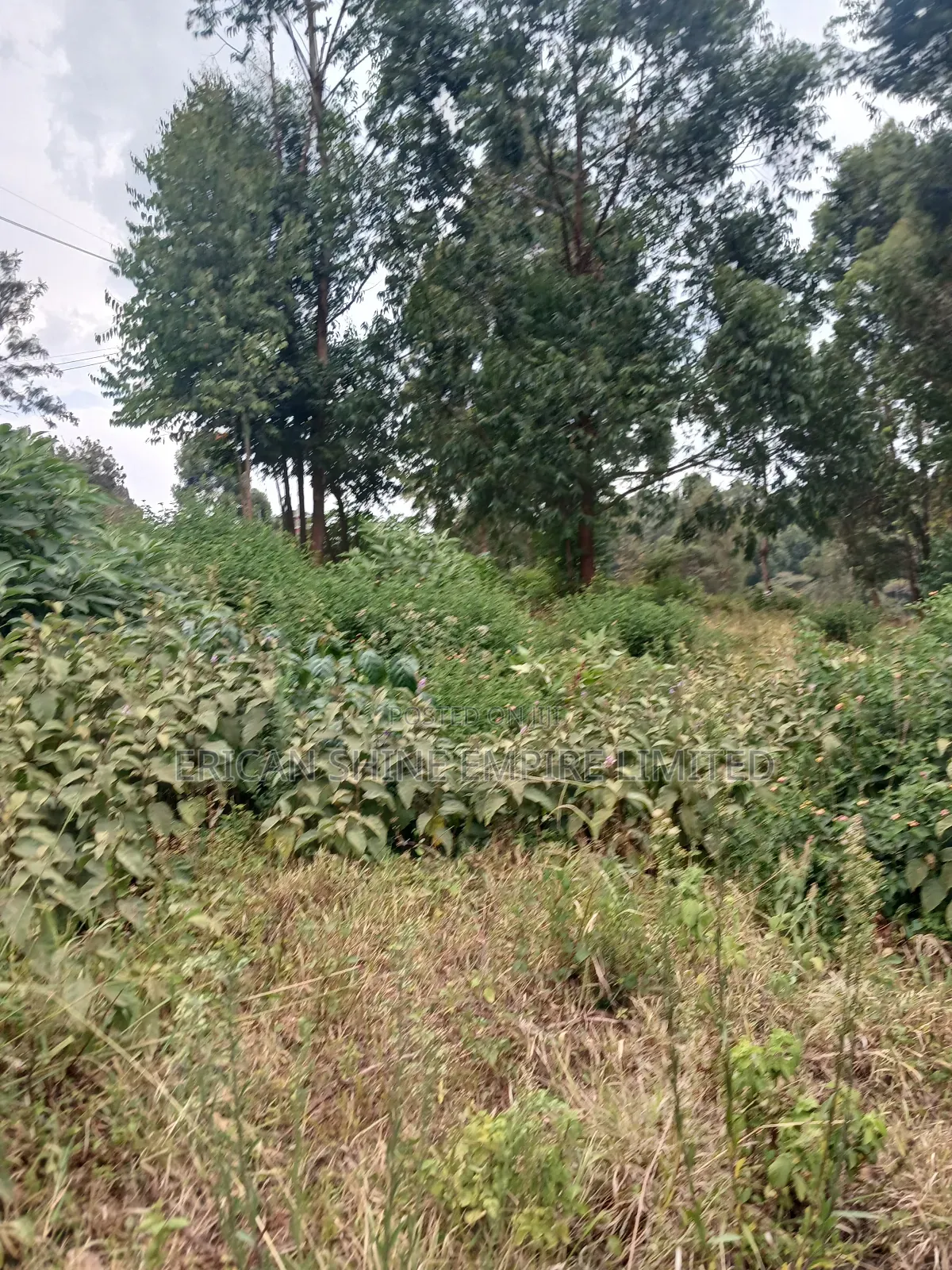 1/2 Prime Plot for Lease in Uthiru in Uthiru