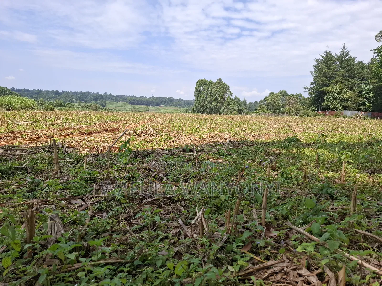 12 Acres Misikhu in Misikhu