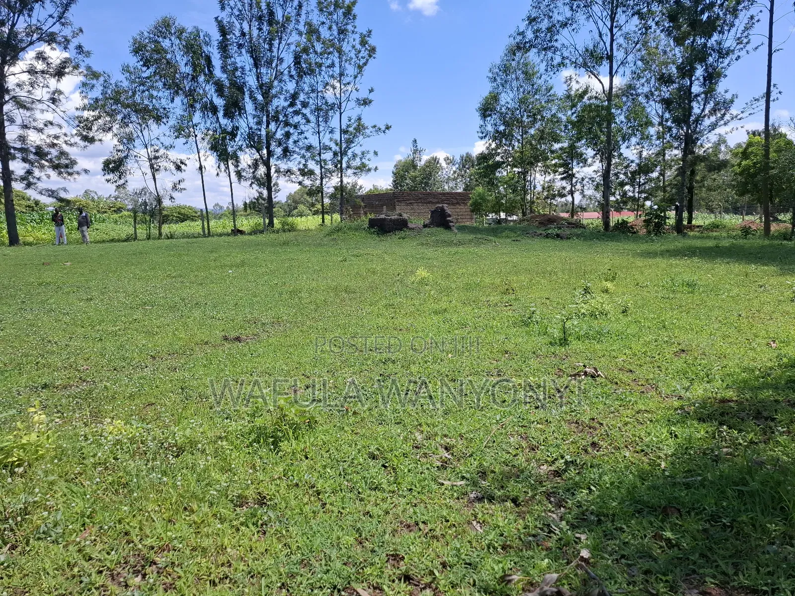 100 by 100 Kocholia Busia in Malaba Central