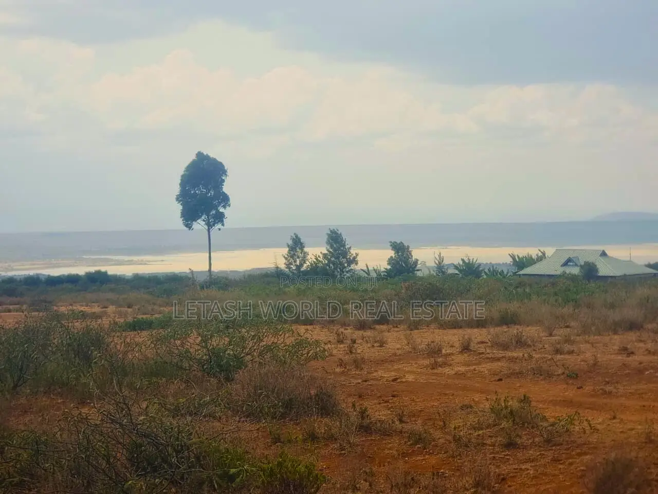 Affordable Plots in Kikopey 50 by 100 in Gilgil