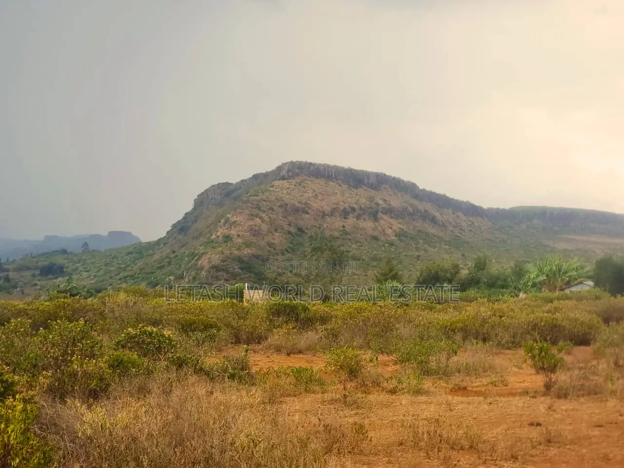 Affordable Plots in Kikopey 50 by 100 in Gilgil