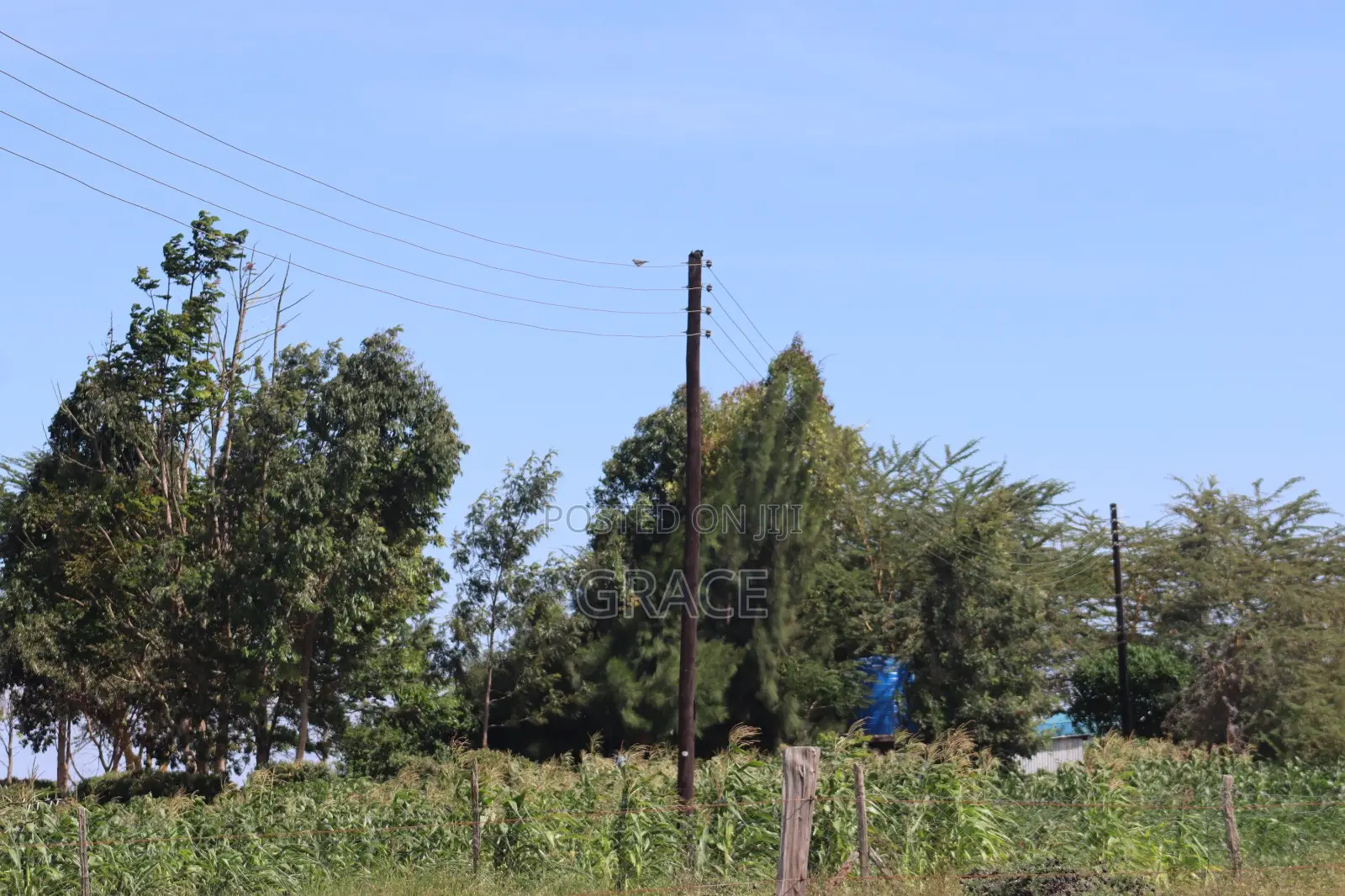 Prime 1/8 Acre Plots for Sale – Amani Mooi, Kisaju in Kisaju