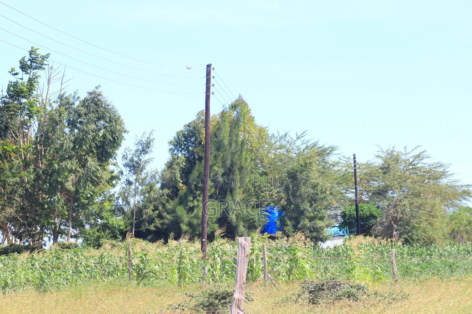 Prime 1/8 Acre Plots for Sale – Amani Mooi, Kisaju in Kisaju
