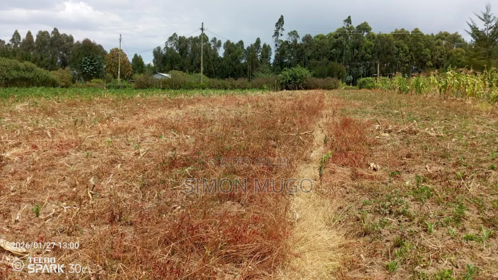Kenol Makuyu Prime Agricultural 613 Acres in Makuyu