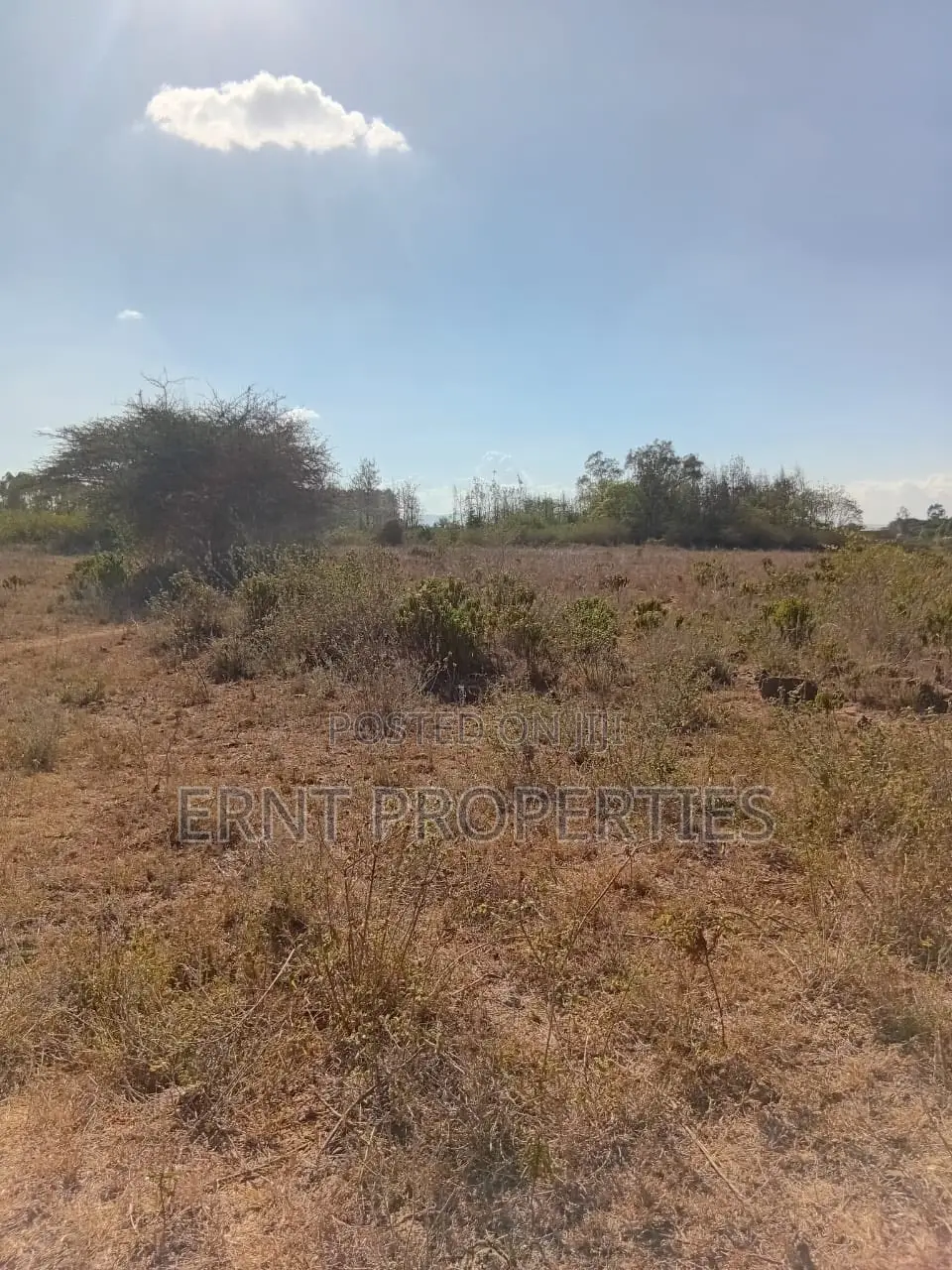 2.5 Acres Prime Land for Sale in Machakos Kyumbi in Junction
