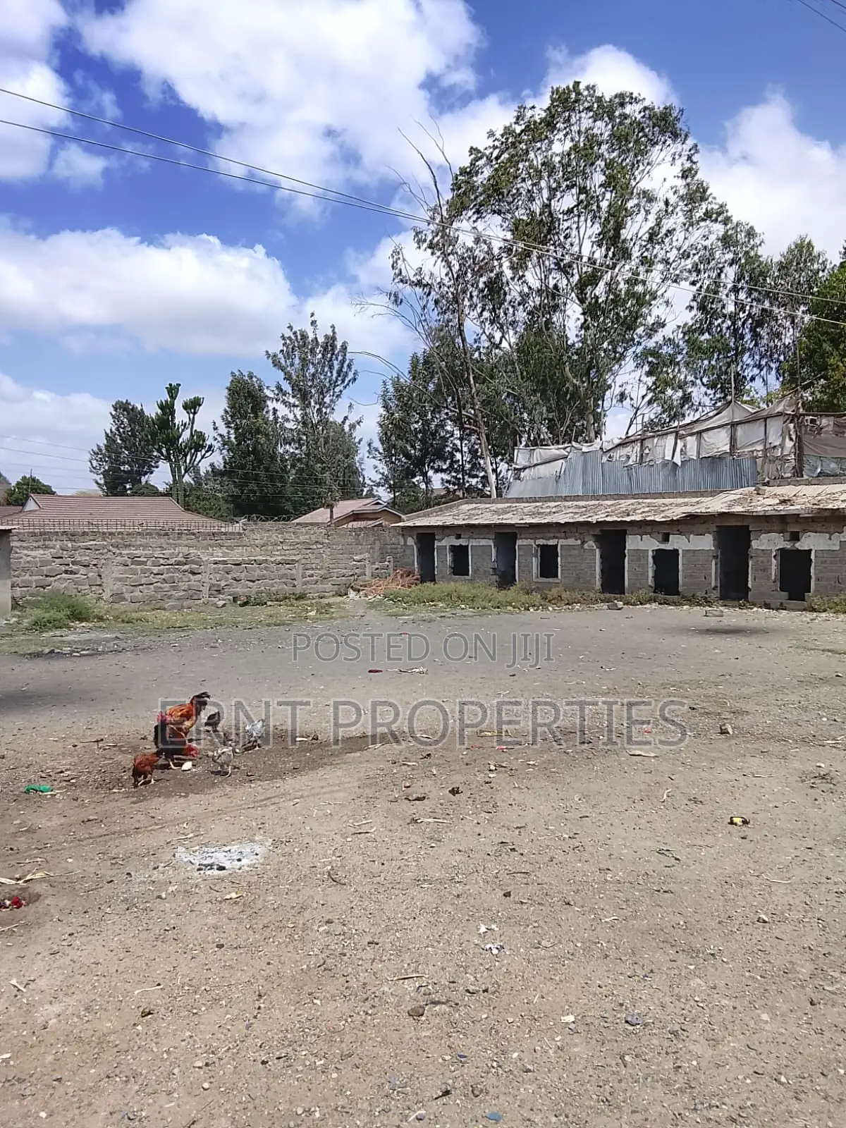 Commercial 50x100 Plot With 2br House for Sale Near Orata, Kitengela in Kitengela
