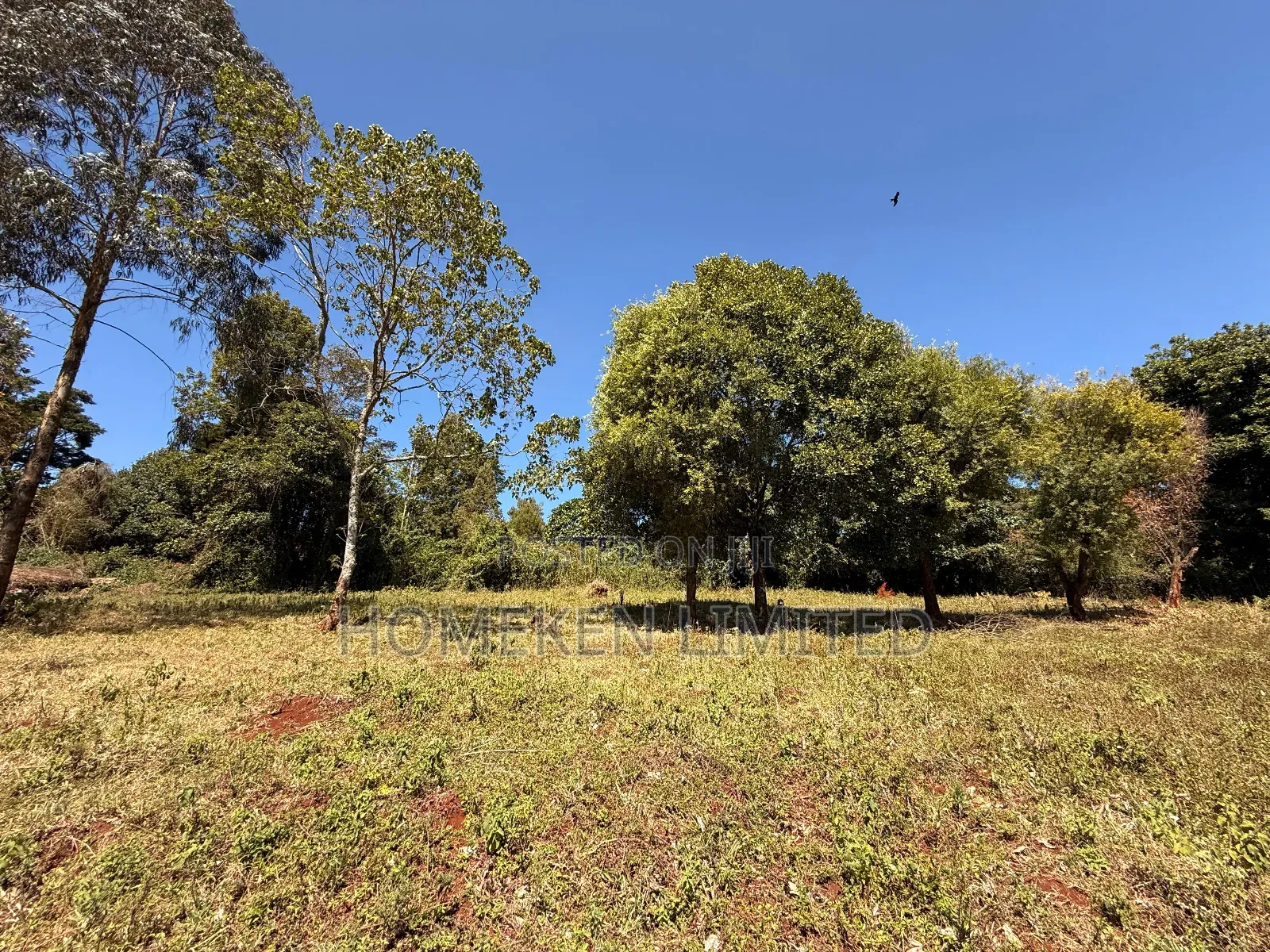 Tigon 6.36 Acres Land With an Old Colonial House on It in Tigoni