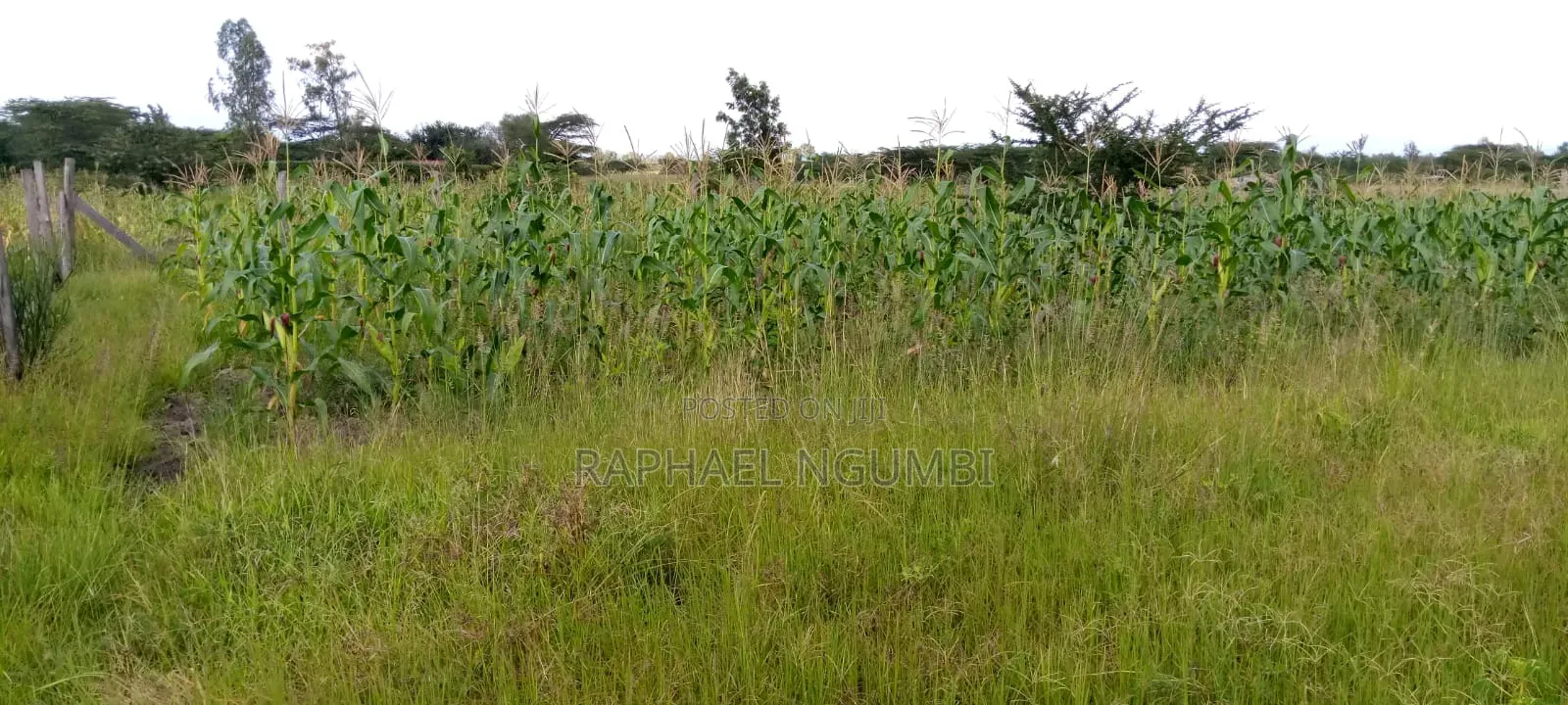 100*100 (Quarter Acre) at Machakos Kenol Mitamboni in Machakos Town