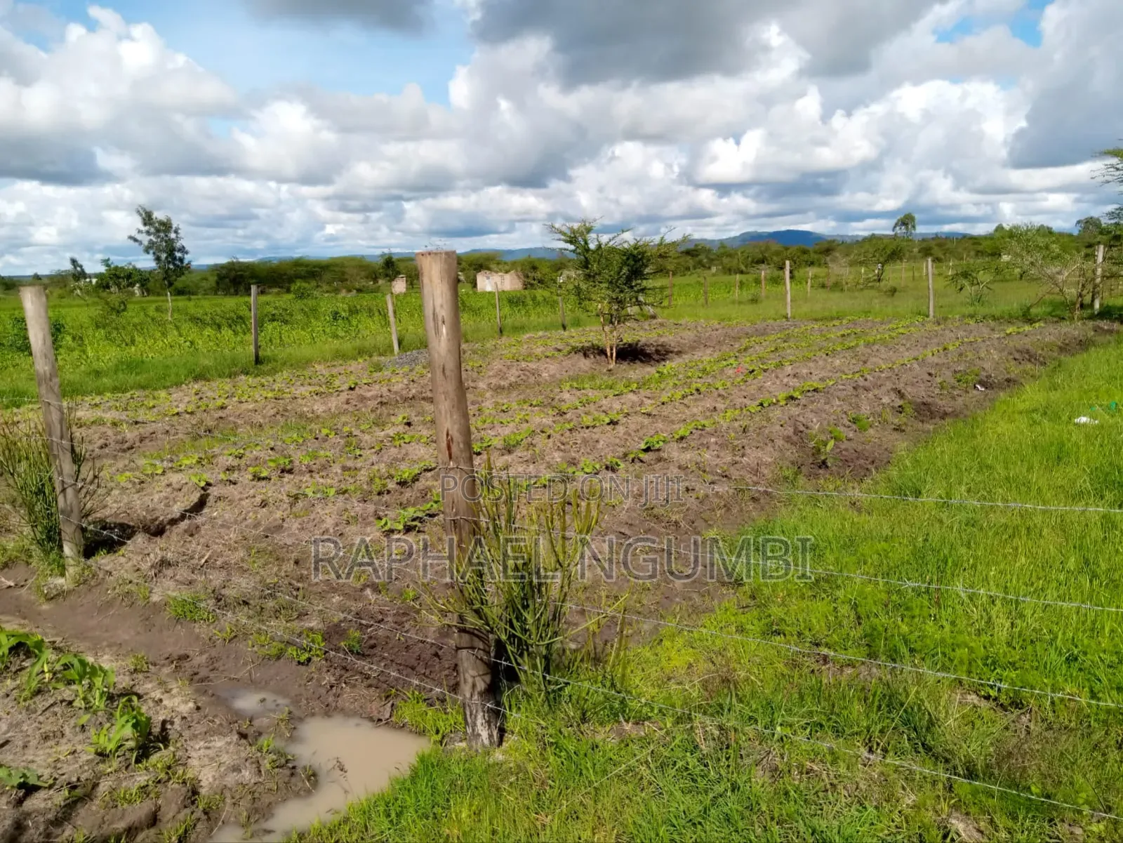 100*100 (Quarter Acre) at Machakos Kenol Mitamboni in Machakos Town