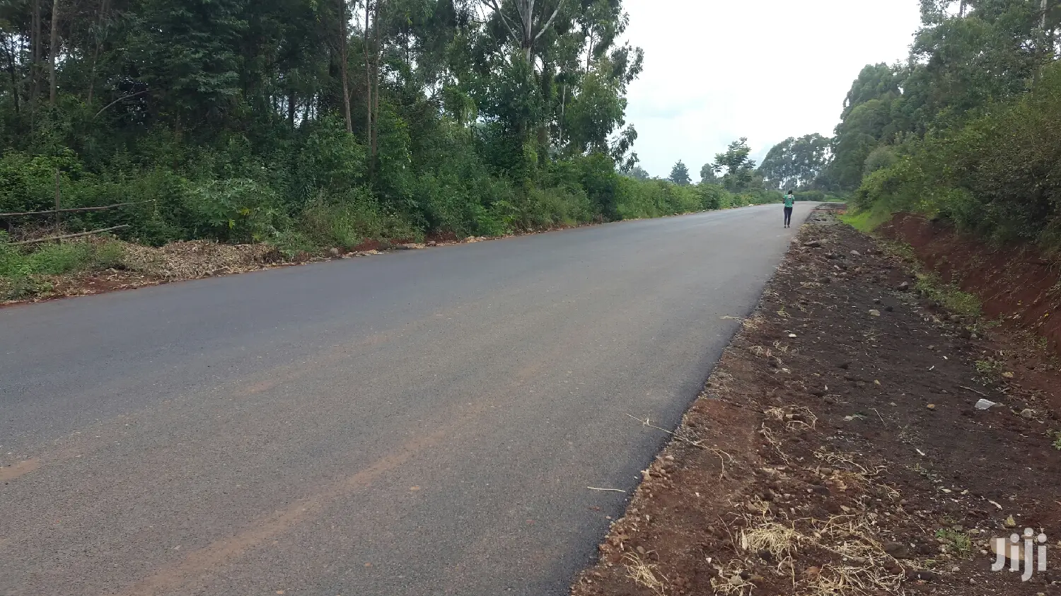 Spacious 50x100ft Plot for Sale: Tarmac Road Access in Kikuyu Ondiri in Kikuyu