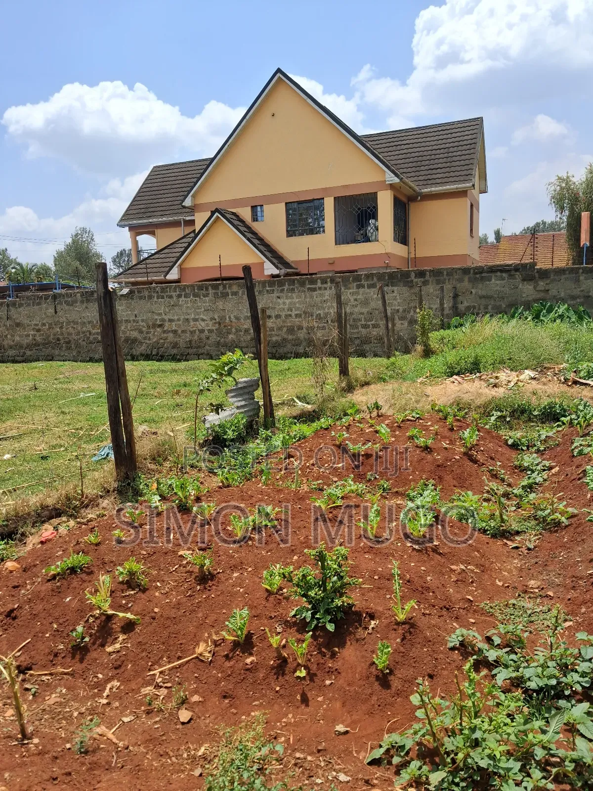 Thome 100x200 Ready Title Quick Sale 26 Millions in Thome