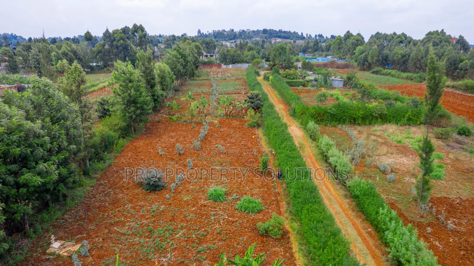 Prime Residential Plot For Sale In Kikuyu, Migumoini in Kikuyu