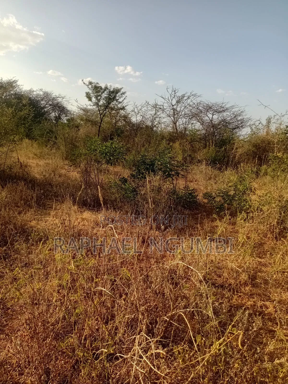 5 Acres at Wamunyu Yathui Machakos in Wamunyu