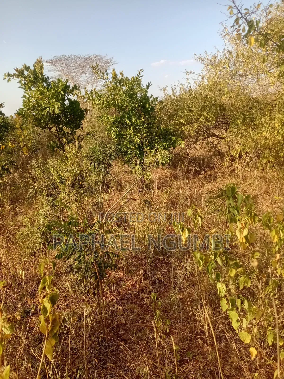 5 Acres at Wamunyu Yathui Machakos in Wamunyu