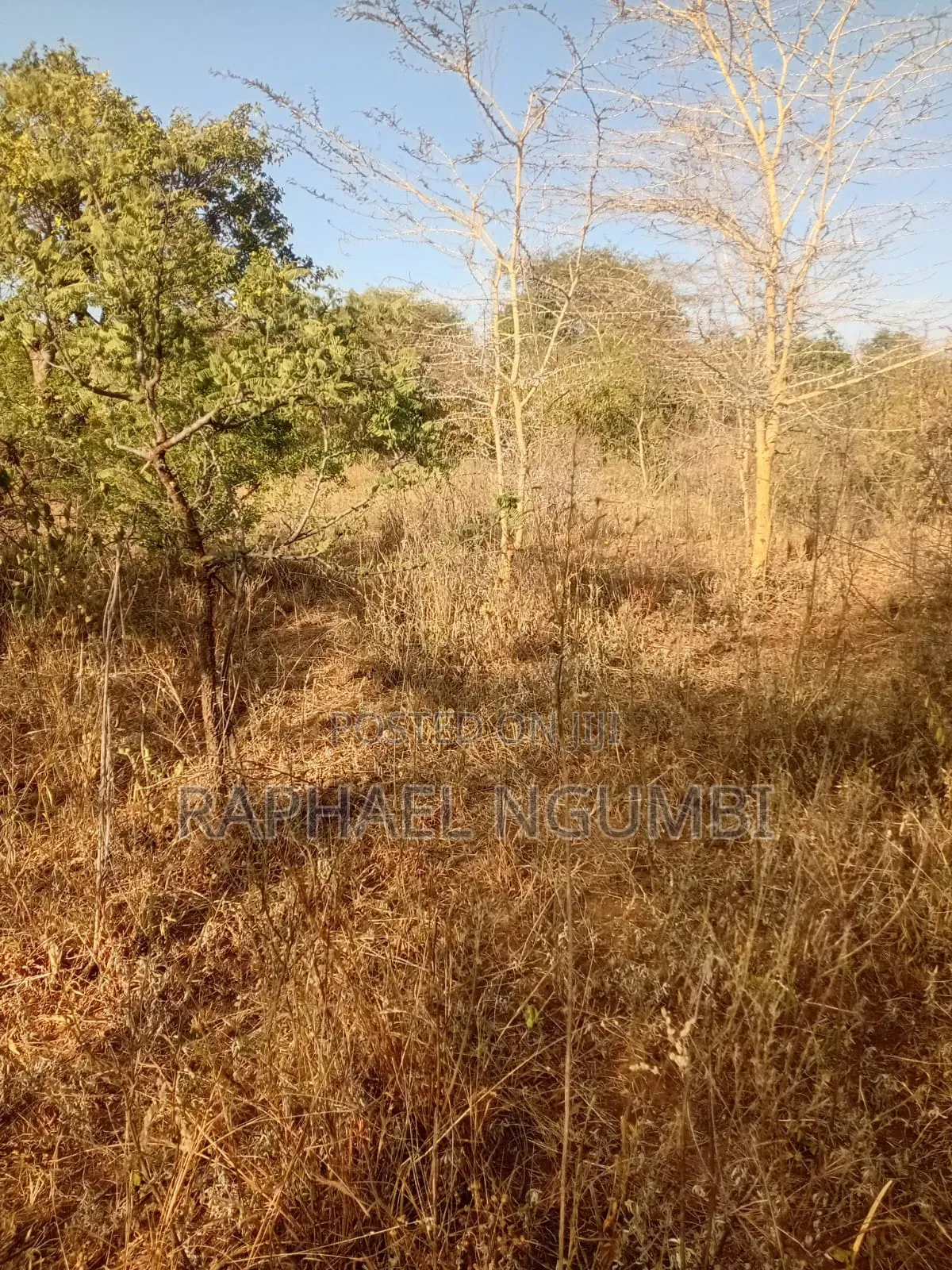 5 Acres at Wamunyu Yathui Machakos in Wamunyu