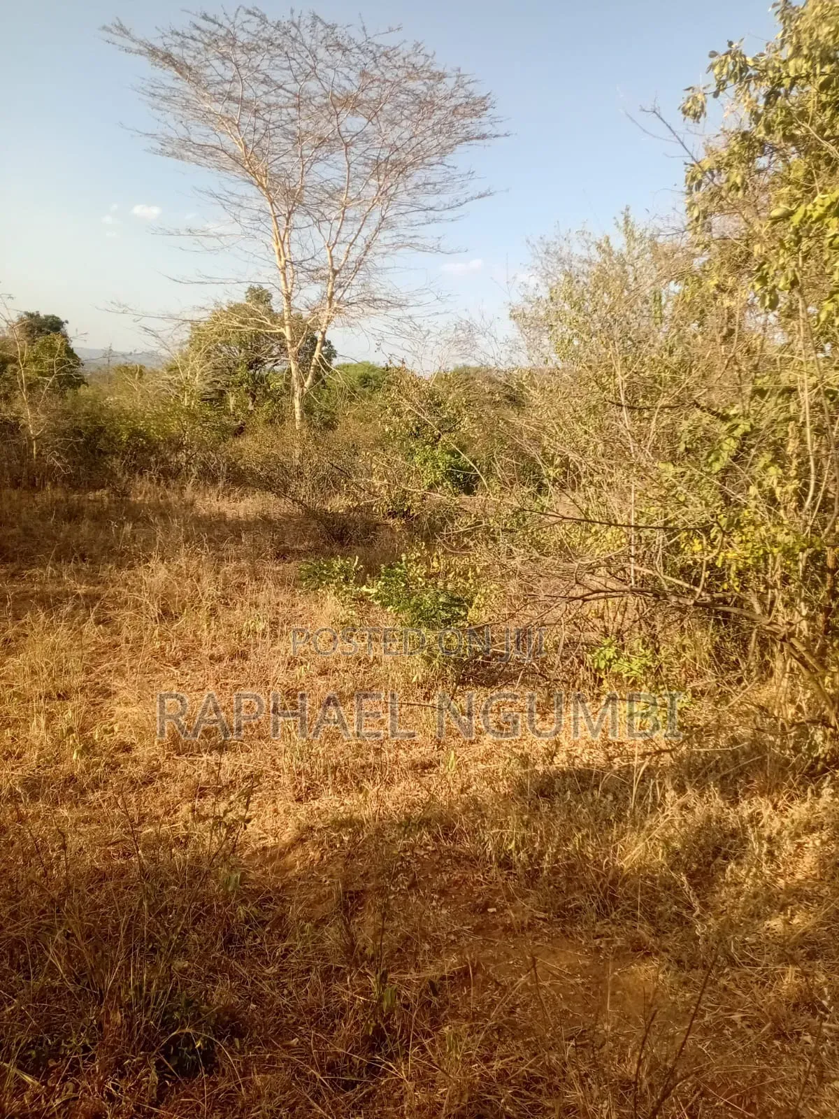 5 Acres at Wamunyu Yathui Machakos in Wamunyu