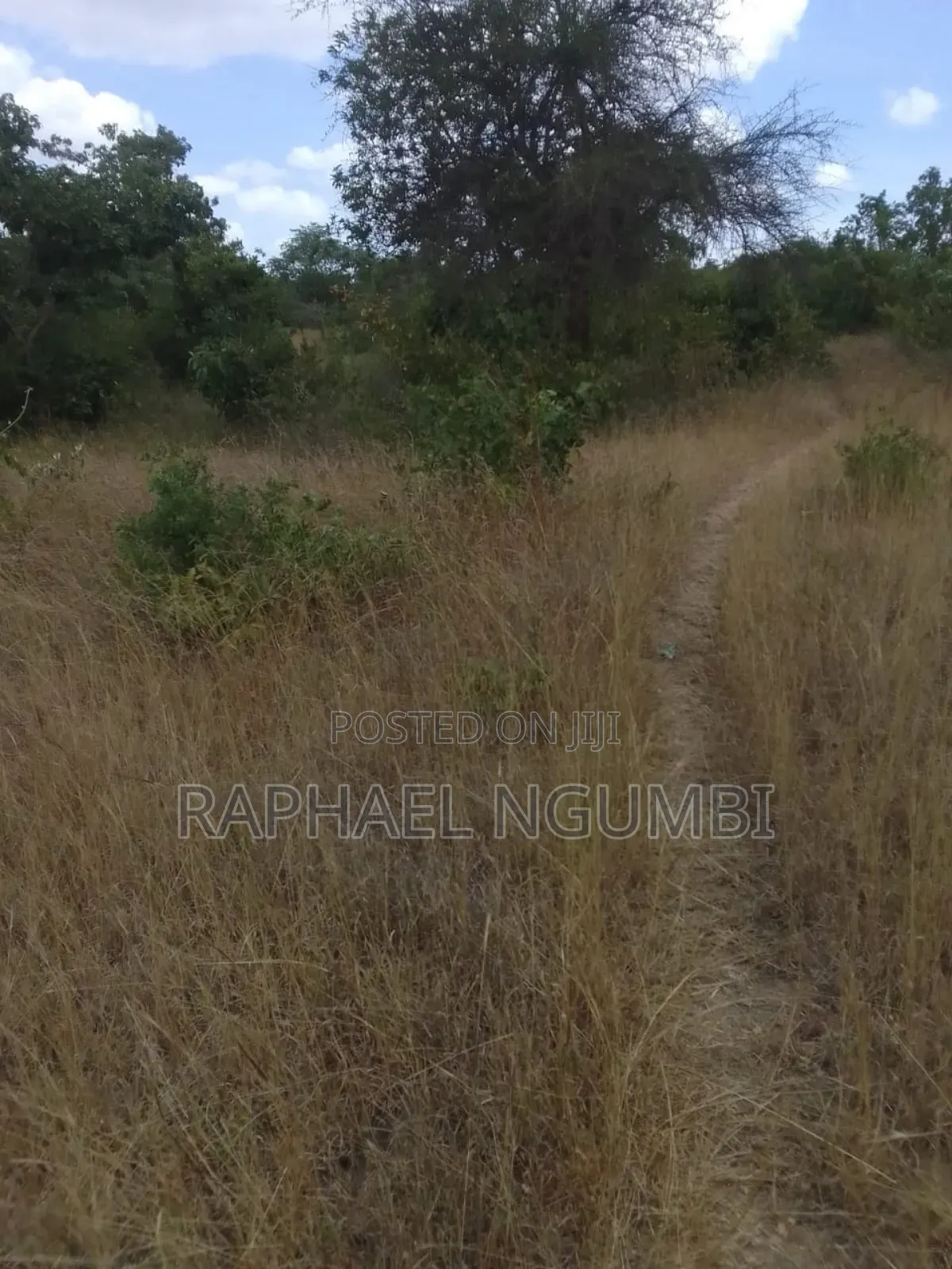 2.5 Acres at Machakos Masii in Masii