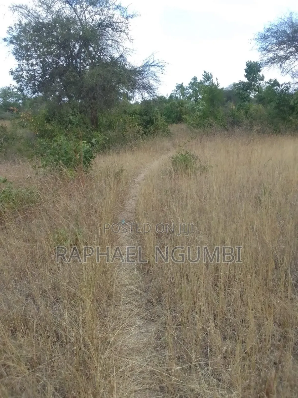 2.5 Acres at Machakos Masii in Masii