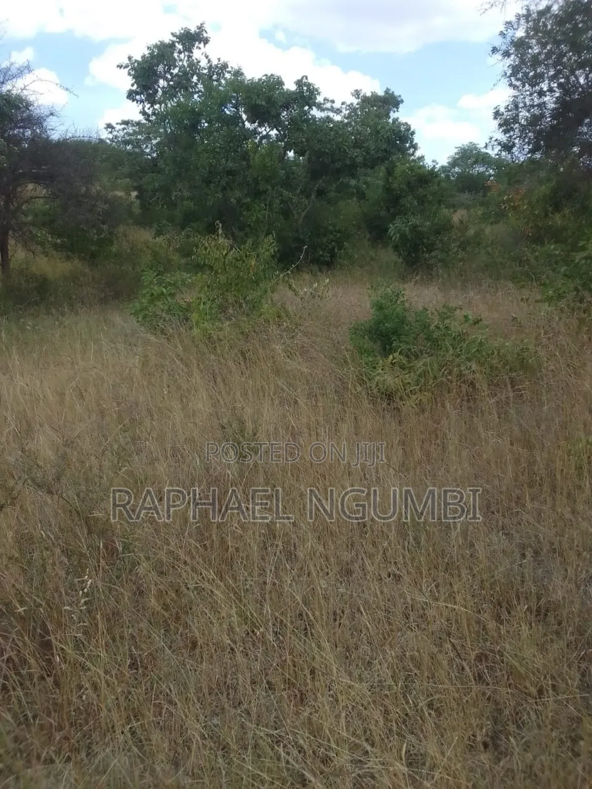 2.5 Acres at Machakos Masii in Masii