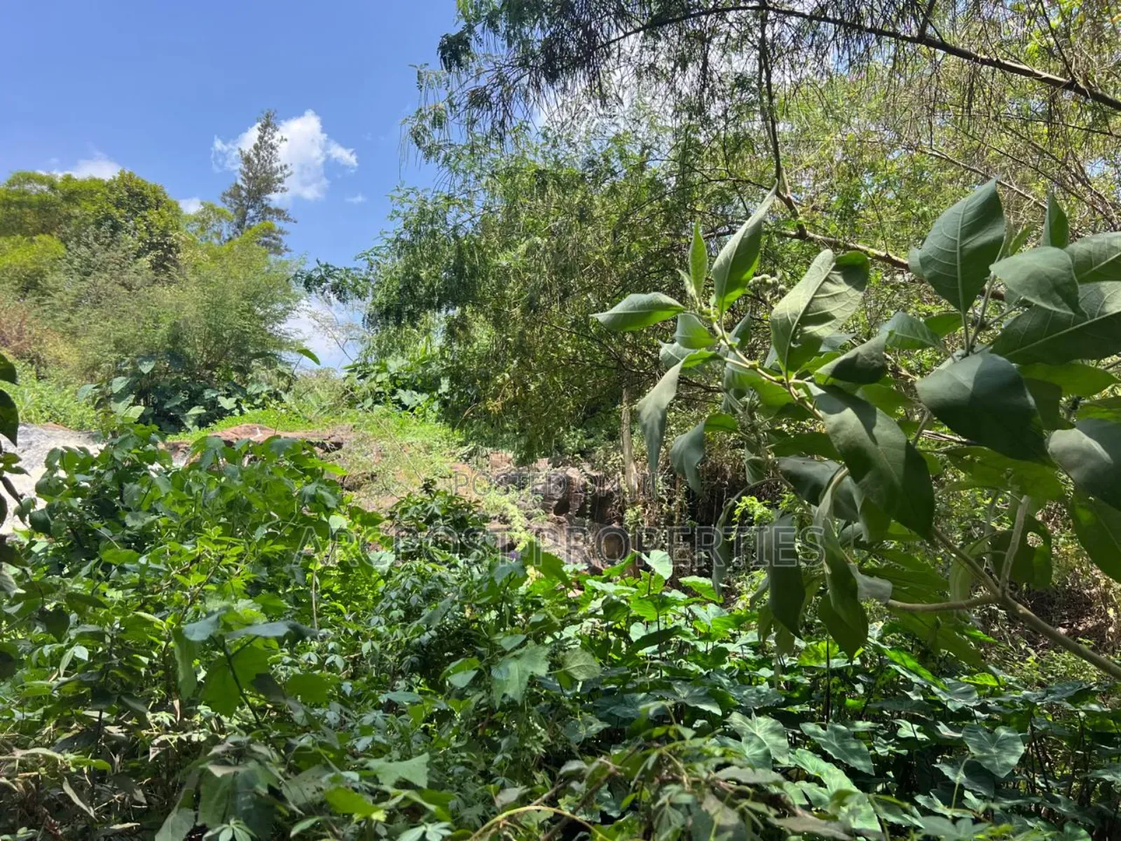 Prime 1.2 Acre Waterfront Land for Sale in Muthaiga North in Muthaiga North