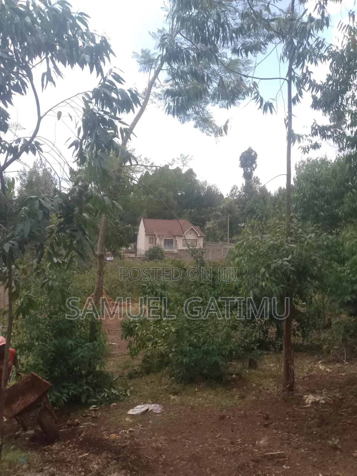 100/100 Plot for Sale Njoro Banana Kiambu in Kiambaa