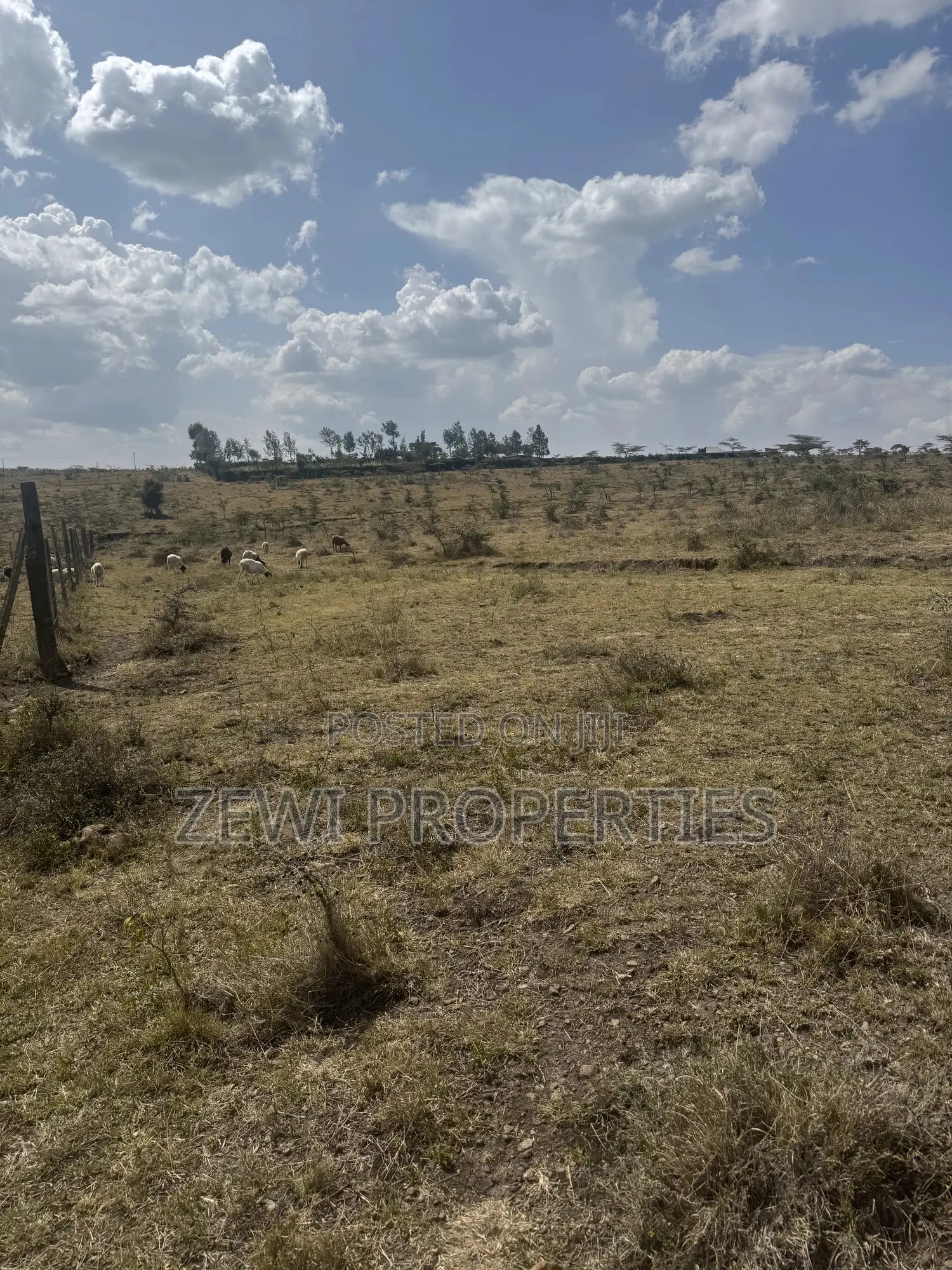 6 Acre Block in Kiserian