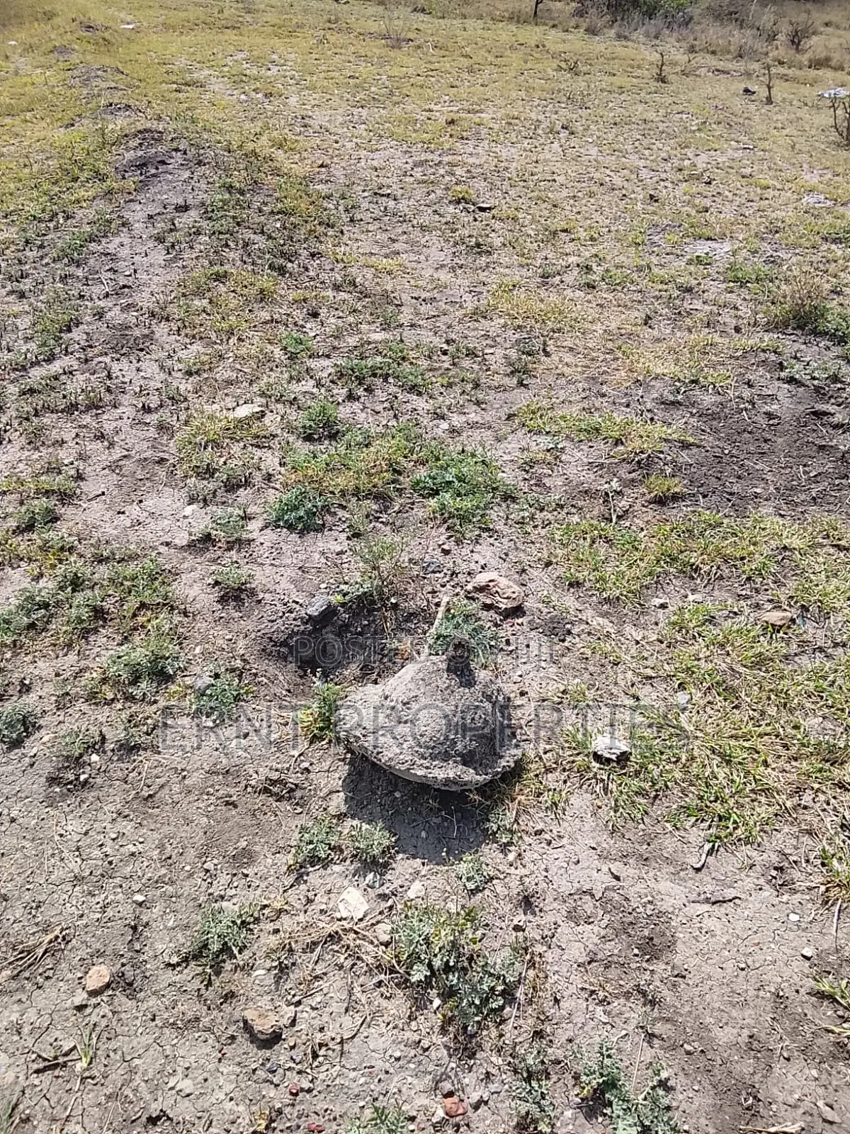 Prime Plots for Sale in Kitengela Golden Plains in Kitengela