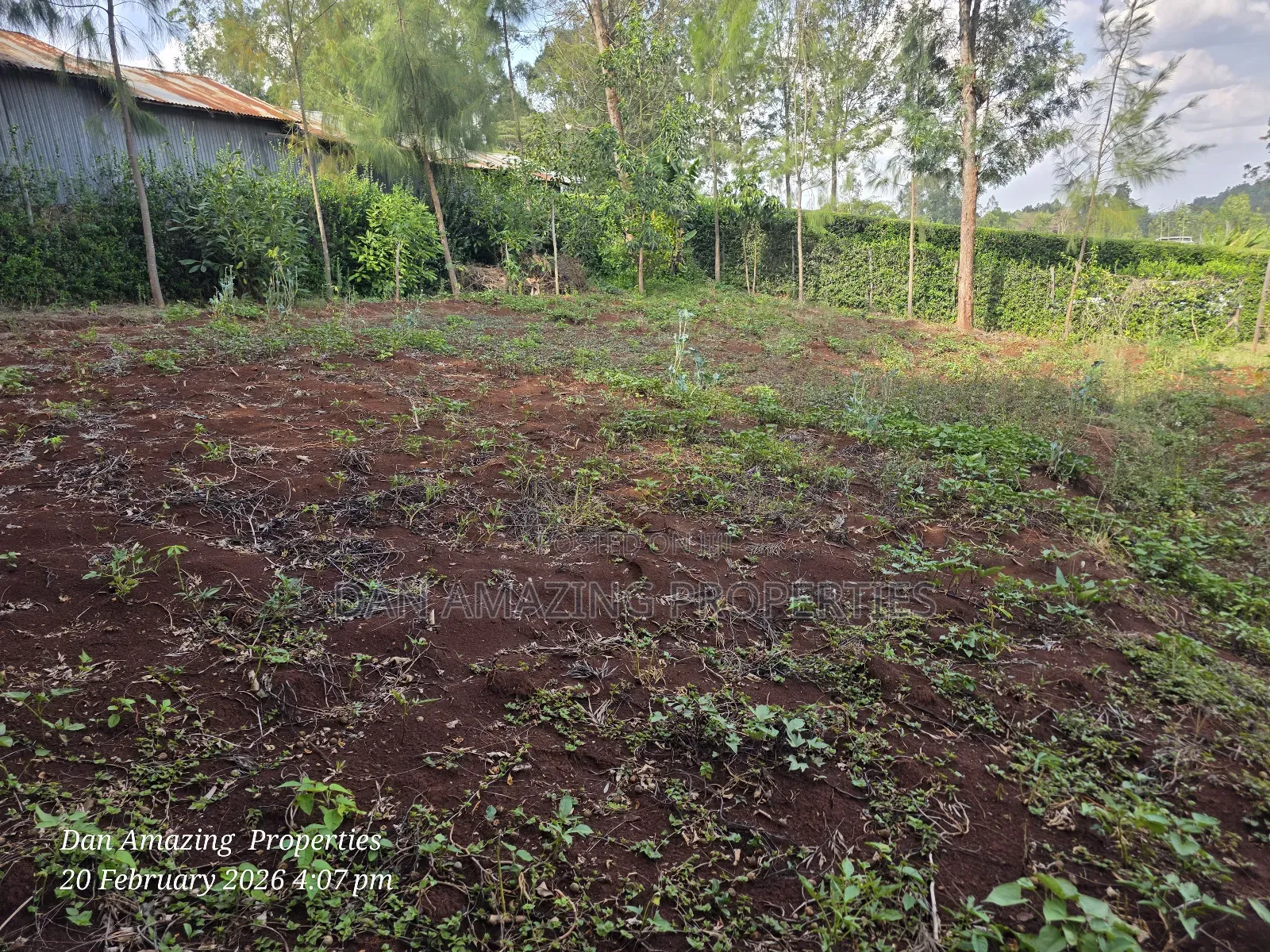 1/4 Acre Piece of Land for Sale in Ngong Ololua Near Prayer Centre in Oluulua