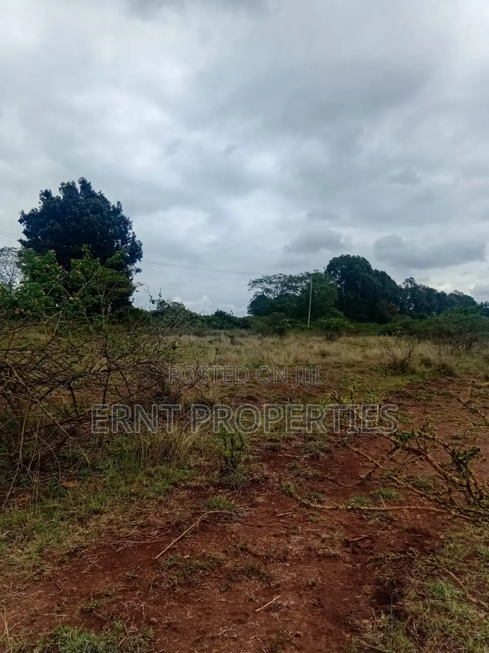 Prime 1/4 Acre Commercial Residential Plot for Sale Off Thika Road in Thika