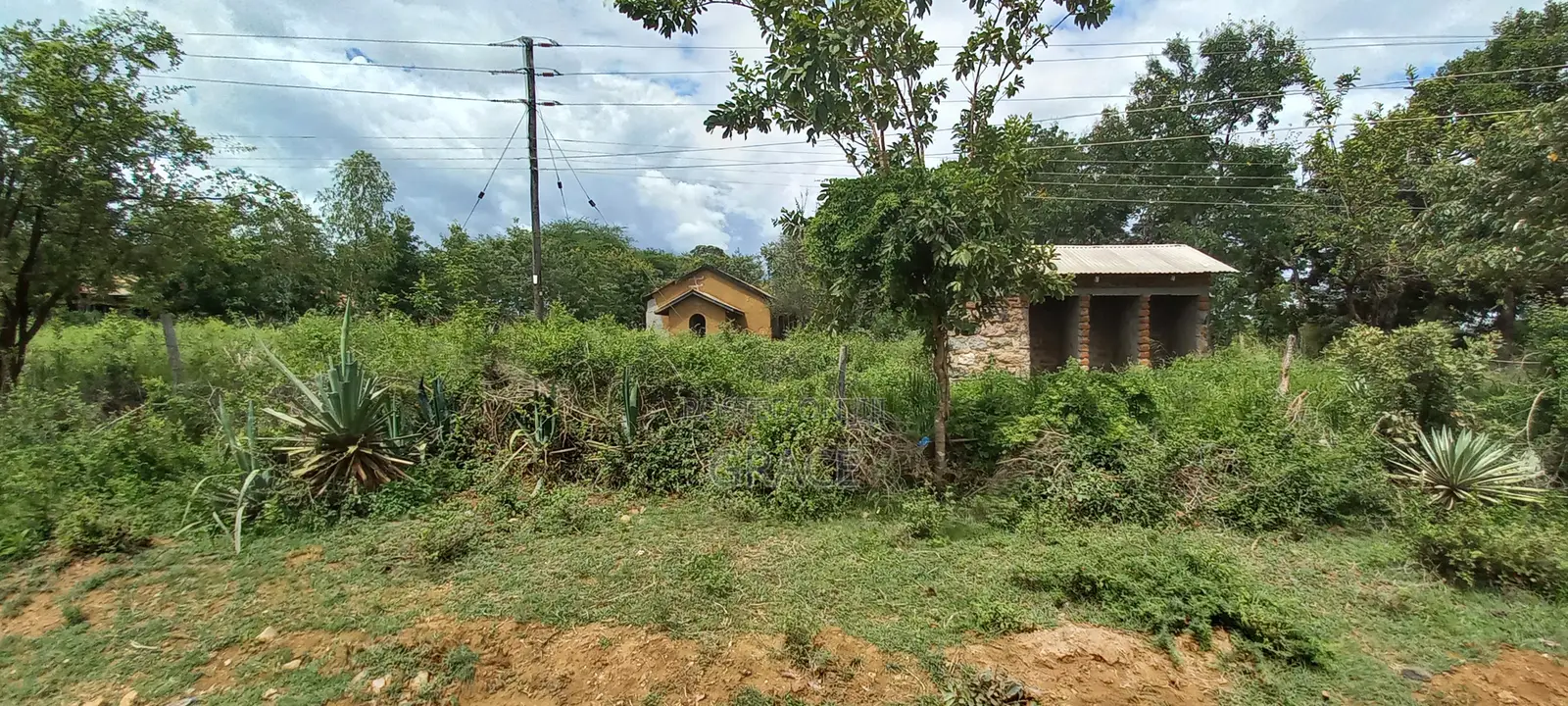 Prime 50x100 Plots in Mwea Karaba – Pay in 12 Months in Mwea