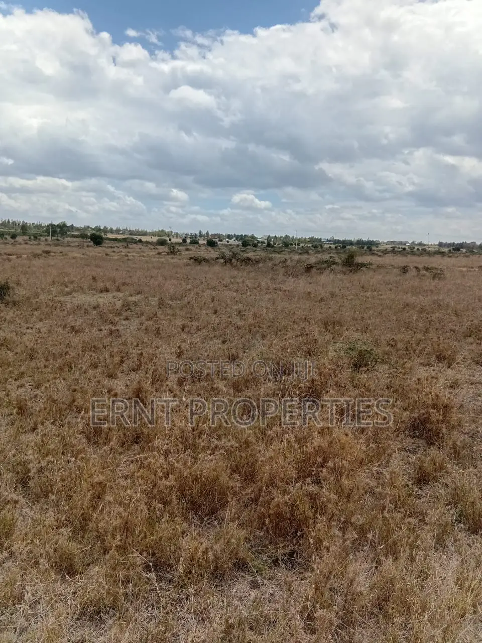 1/4 Acre Plots for Sale in Kisaju Daykio Scheme Near Namanga Road in Kisaju