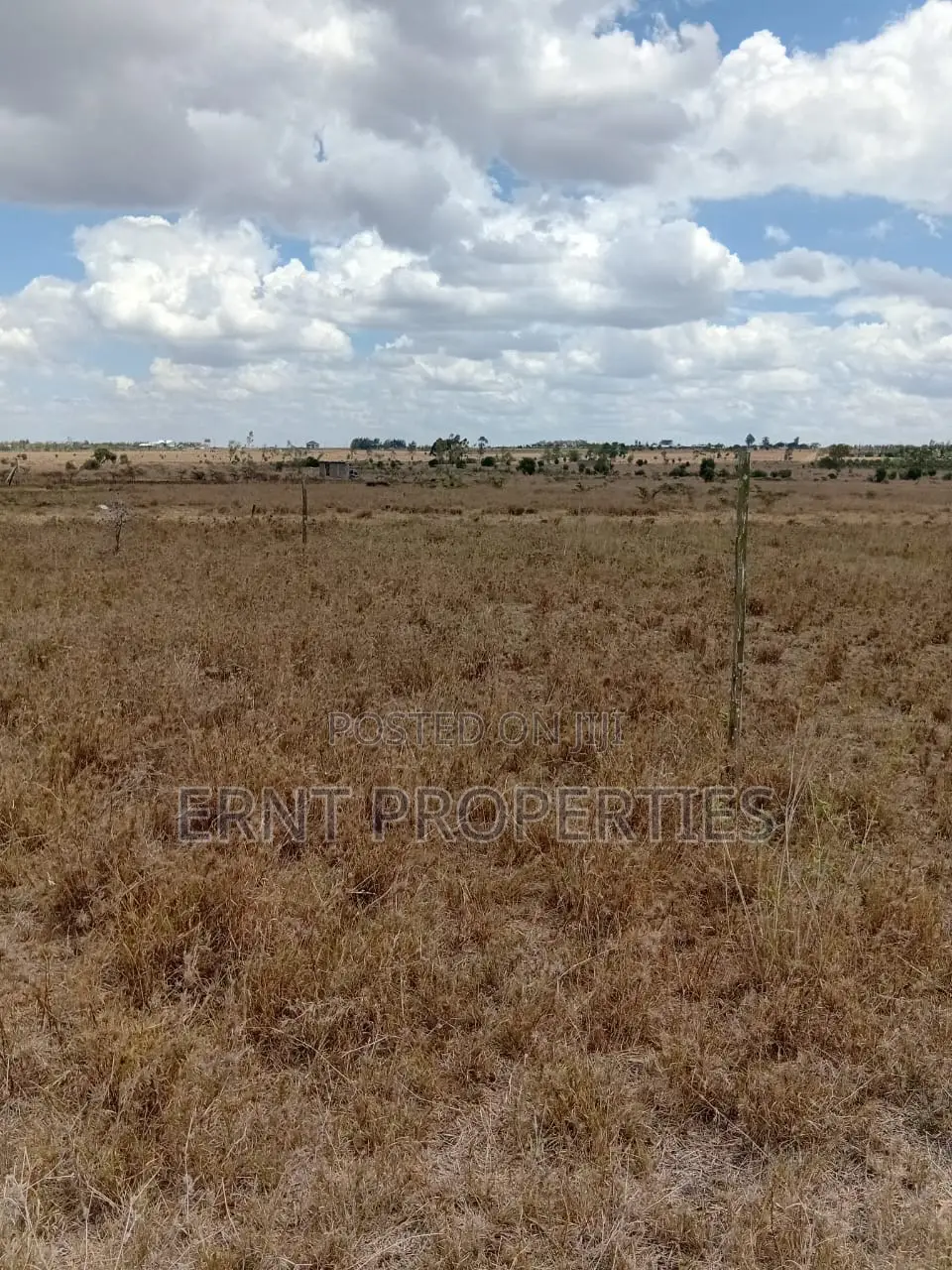 1/4 Acre Plots for Sale in Kisaju Daykio Scheme Near Namanga Road in Kisaju