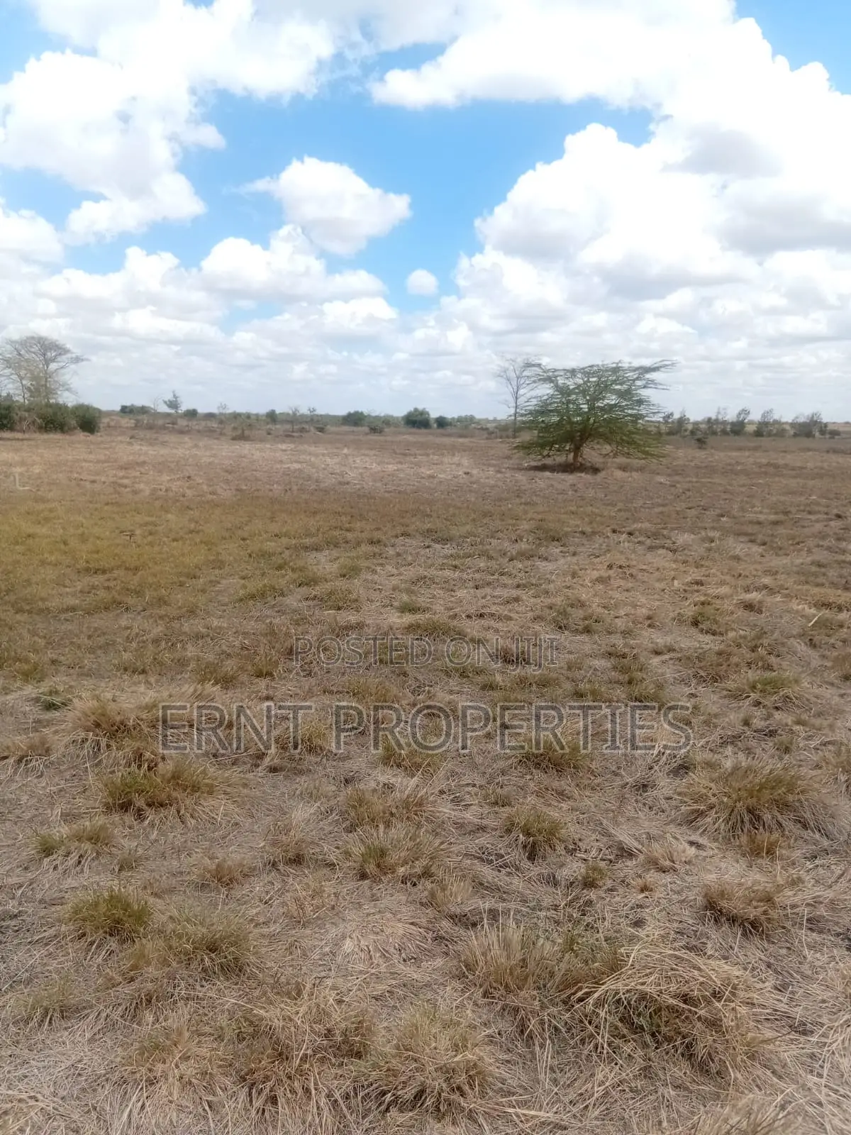 20 Gated 1/4 Acre Plots for Sale in Kisaju Near Namanga Road in Kisaju