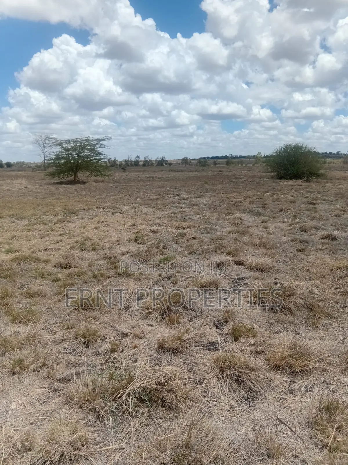 20 Gated 1/4 Acre Plots for Sale in Kisaju Near Namanga Road in Kisaju
