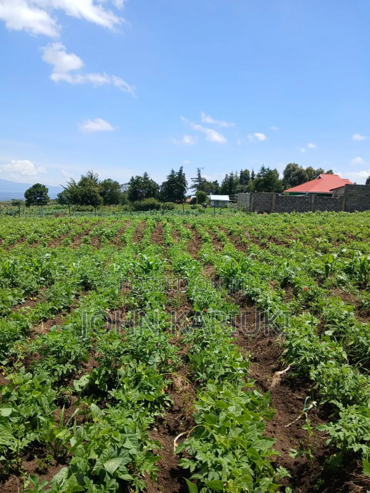 3 Acres of Land in Naivasha Karai With View of Lake Naivasha in Naivasha