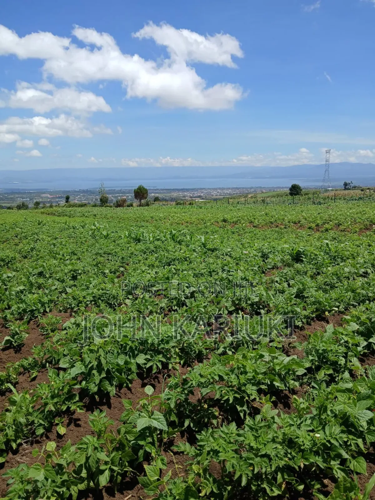 3 Acres of Land in Naivasha Karai With View of Lake Naivasha in Naivasha