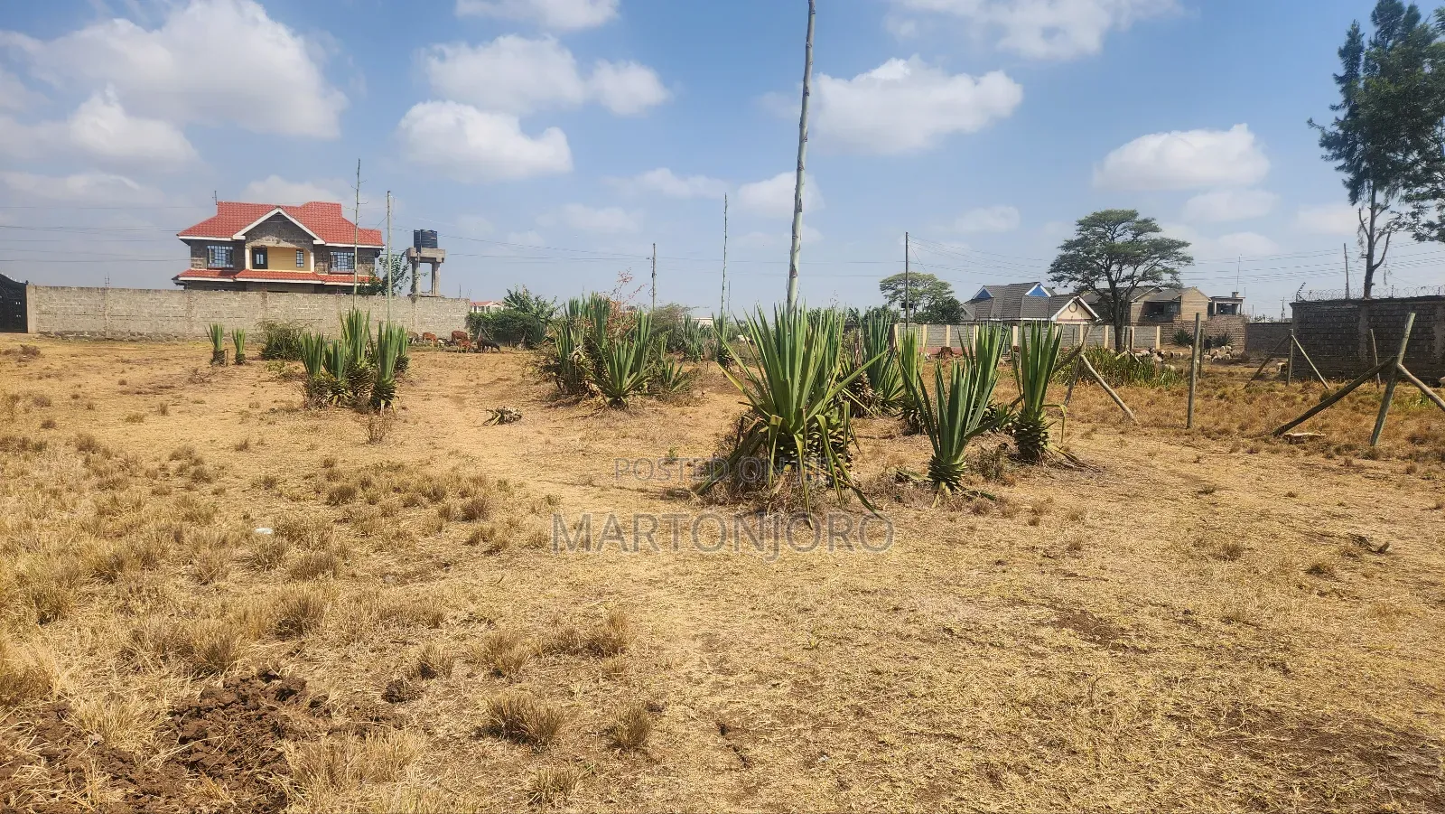 Offer Offer Jujafarm in Juja