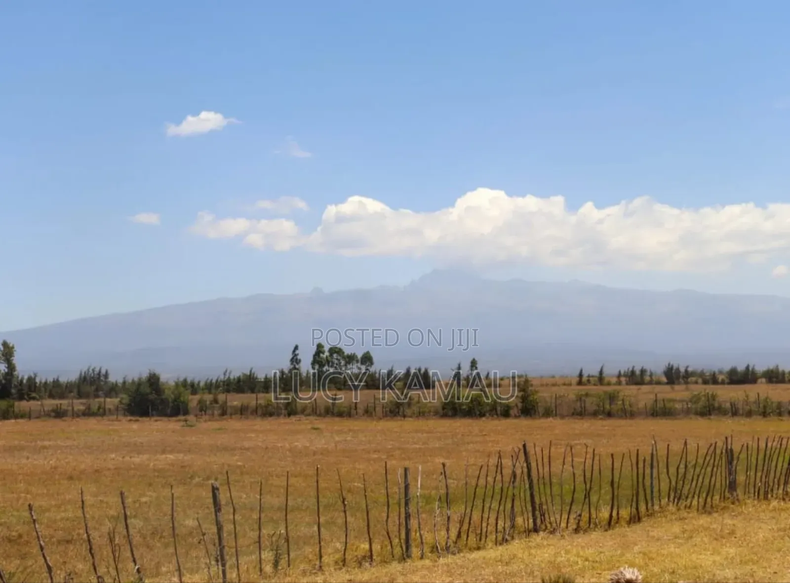 Prime 1⁄8acre Plots in Narumoru in Nanyuki