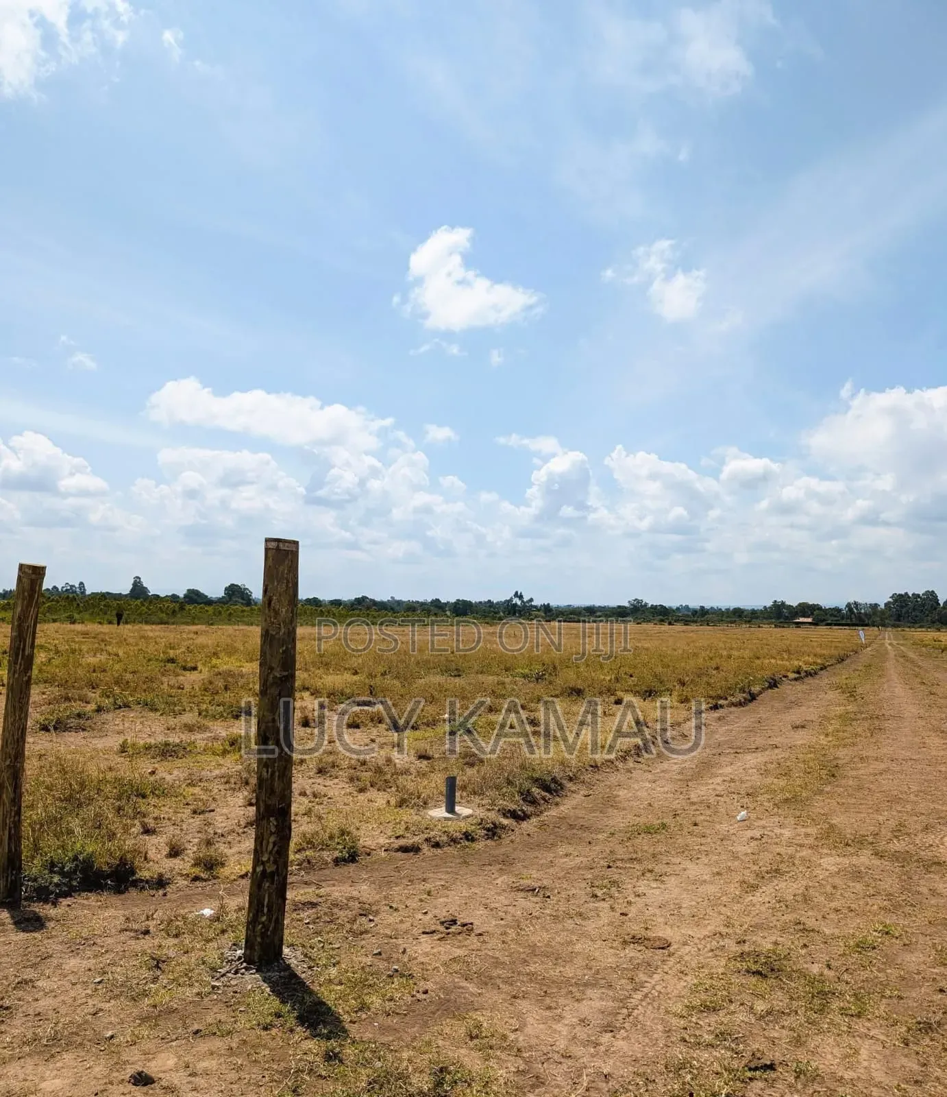 Prime 1⁄8acre Plots in Narumoru in Nanyuki