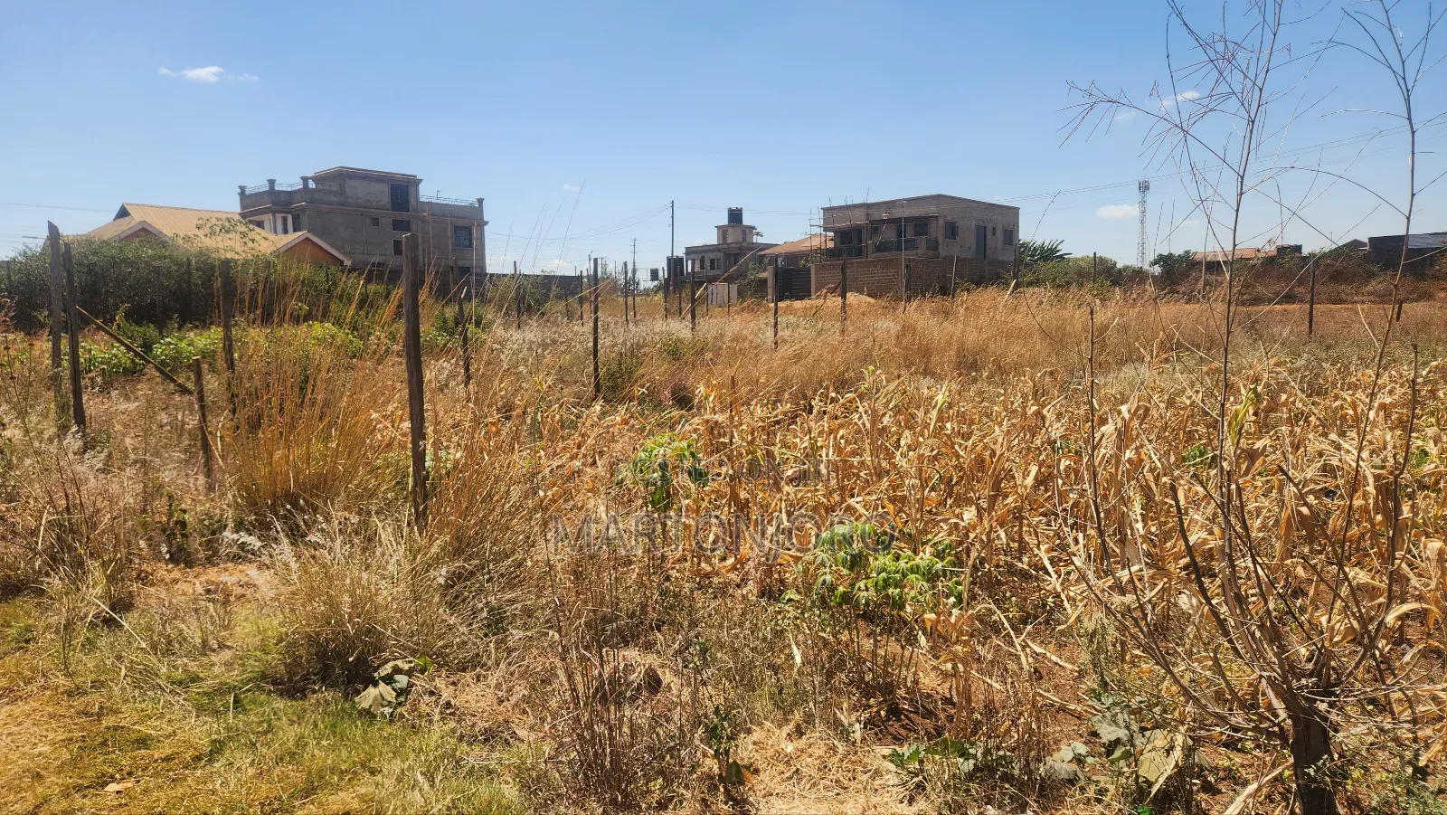100 by 100 Residential Plots Ngoigwa in Ngoingwa Estate